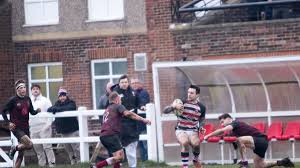 Image result for Novocastrians Rugby Football Club