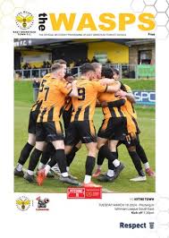 Image result for East Grinstead Town Football Club