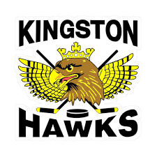 Image result for Kingston Upon Hull Hockey Club