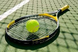 Image result for Brentwood Lawn Tennis Club