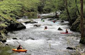Image result for Waveney Valley Canoe Club