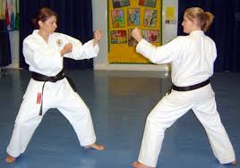 Image result for Jodan Karate