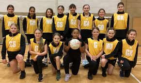 Image result for Twinkles Netball Club