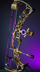 Image result for Orion Bowhunters