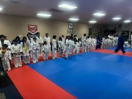 Image result for Anfield Youth Activity Centre Judo Club
