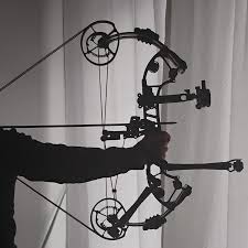 Image result for Burntwood Archers