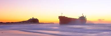 Image result for Pasha bulker