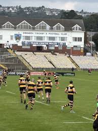 Image result for Swansea Rfc