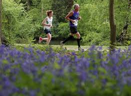 Image result for Bracknell Forest Runners