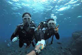 Image result for Blue Water Diving