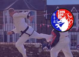 Image result for moray coast tang soo do