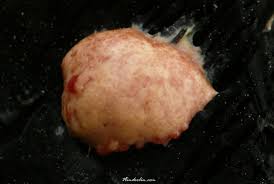 Attēlu rezultāti vaicājumam “Amaurochaete sp.”