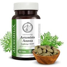 Image result for Artemisia annua