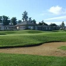 Image result for Gosfield CC