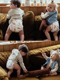 Attēlu rezultāti vaicājumam “Diaperis boleti imago”