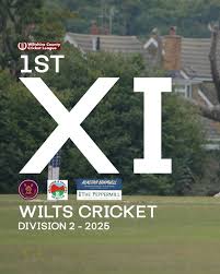 Image result for All Cannings Cricket Club