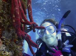 Image result for Three Seas Diving