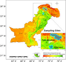 Attēlu rezultāti vaicājumam “Melampsora magnusiana”
