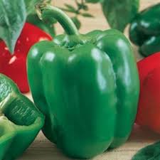 Afbeeldingsresultaat voor california wonder 300 sweet pepper