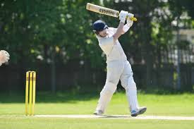 Image result for Horsham Trinity Cricket Club
