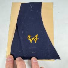 Image result for Winscombe Cricket Club