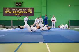 Image result for Halton Inclusive Judo Club
