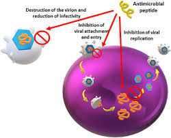 「ジェンナーロ・ガンツ カンピオーネ！」の画像検索結果