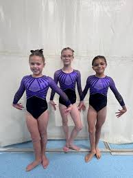 Image result for Croydon Acro Gymnastics Club