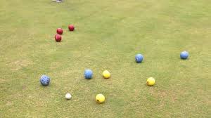 Image result for Abergavenny Bowls Club