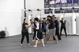 Image result for Daniel Gracie Academy
