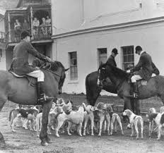 Image result for Cranborne Association Of Sports Clubs