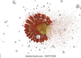 Image result for фотография вируса вич