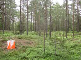 Image result for Cambridge University Orienteering Club (Cuoc)