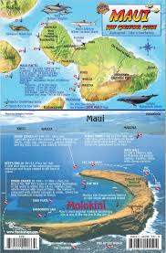 「VHAPUNI　MAO」の画像検索結果