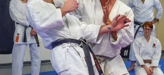 Image result for Intelligent Martial Arts