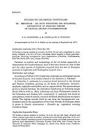 Attēlu rezultāti vaicājumam “Lophocolea coadunata”