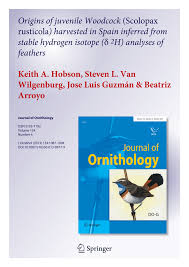 Attēlu rezultāti vaicājumam “Scolopax rusticola juvenile”