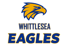 Image result for Eagles Netball Club