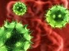 Norovirus � Don't make it your