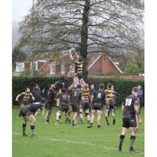 Image result for Weybridge Vandals Rugby Club