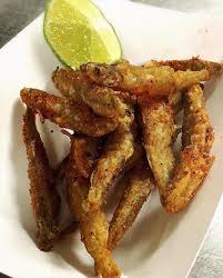 Attēlu rezultāti vaicājumam “Charales”