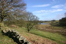 Image result for Beckwithshaw Badminton Club