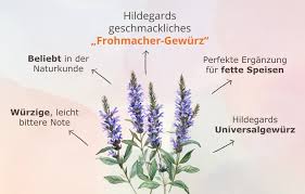 Image result for Ysop