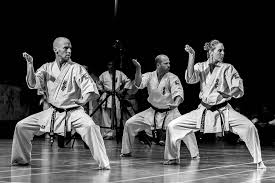 Image result for Kyoku Kenjutsu Kai