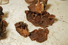 Attēlu rezultāti vaicājumam “Hymenochaete rubiginosa”