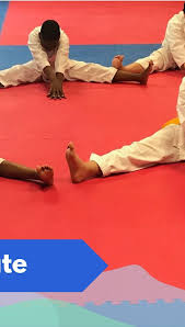 Image result for COURT FIELDS karate Academy