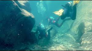 Image result for TAL Divers