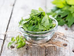 Image result for Liebstöckel