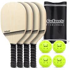 Image result for Gosport Pickleball Club