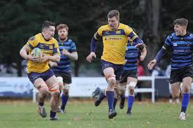 Image result for Dings Crusaders Rugby Football Club